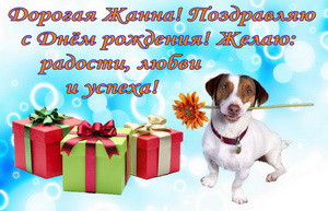 Коробки с подарками и песик с цветком дорогой Жанне.