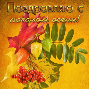 Картинка с листьями на красивом фоне