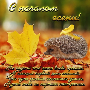 Открытка с ёжиком на первый день осени