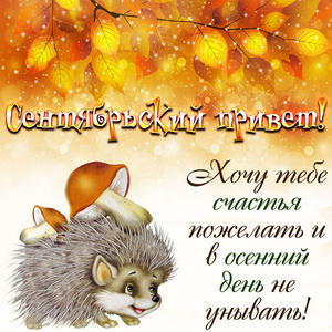 Милый ёжик с сентябрьским приветом