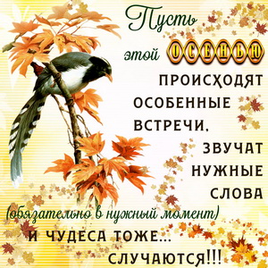 Картинка с красивым пожеланием на осень