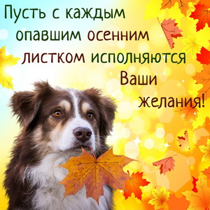 Открытка с собачкой на осеннем фоне