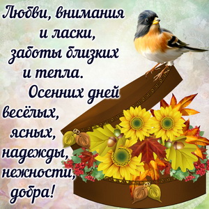 Красивая картинка с птичкой и осенними цветами