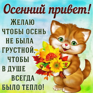 Открытка с котёнком посылающим Вам осенний привет