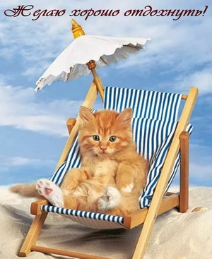 Котенок в шезлонге желает хорошо отдохнуть
