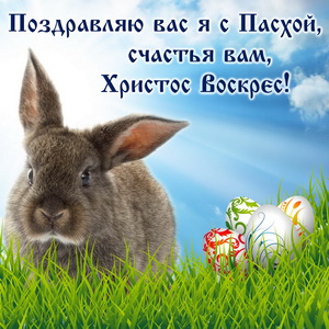 Серый кролик и яички на зеленой травке
