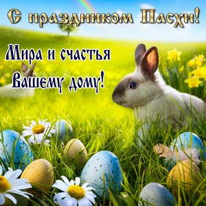 Кролик на травке среди разноцветных яиц