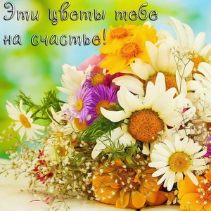 Эти цветы тебе на счастье!