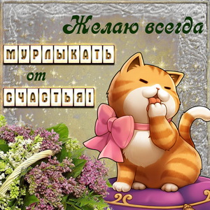 Прикольный котик мурлыкает от счастья