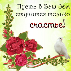 Картинка с голубем и красными розами