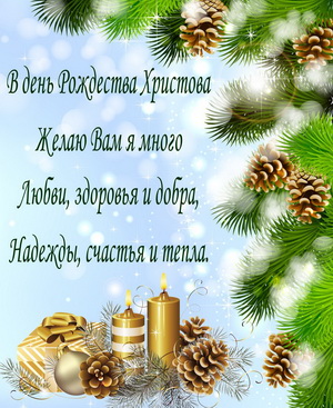 Еловые ветки с шишками и пожелание
