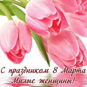 Розовые тюльпаны для милых женщин