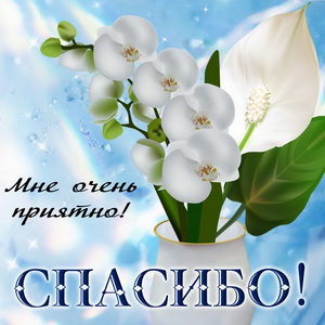 Спасибо! и белый цветок в вазе