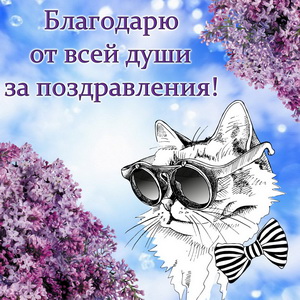 Благодарю за поздравления
