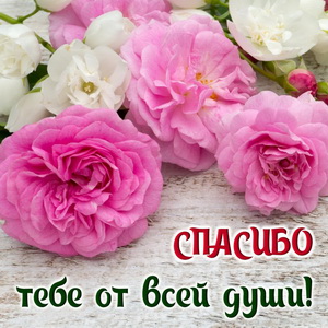 Картинка - спасибо тебе от всей души