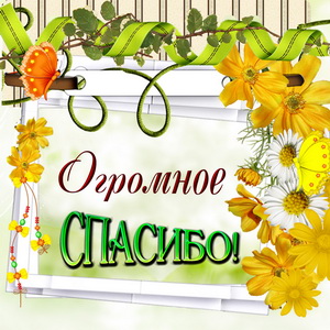 Картинка огромное спасибо на ярком фоне