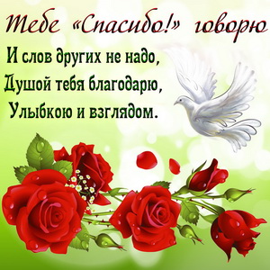 Открытка спасибо с голубем и розами