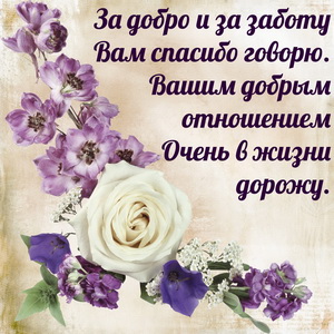 Картинка со словами благодарности и розой