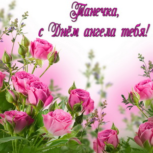 Розовые розы Танечке на День ангела