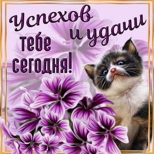 Открытка успехов и удачи тебе сегодня