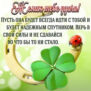 Пожелание удачи на фоне клевера и подковы