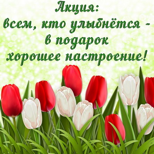 Картинка с красивыми тюльпанчиками