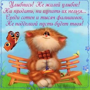 Улыбающийся котик с шоколадкой на скамеечке