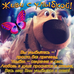 Открытка живи с улыбкой с собачкой