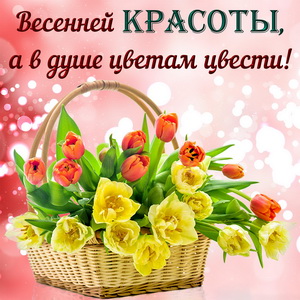 Открытка с весенними цветами на милом фоне