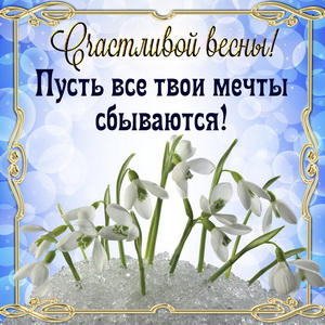 Подснежники и пожелание счастливой весны