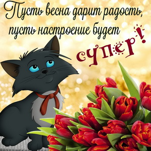 Картинка с котиком и весенними тюльпанами