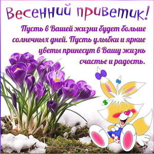 Весенний приветик на фоне первых цветочков