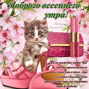 Милый котик желает Вам доброго весеннего утра