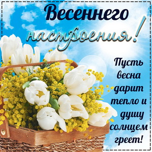 Картинка с цветами для весеннего настроения