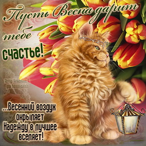 Красивый котик с фонарем весной среди тюльпанов