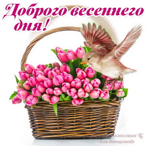 Открытка с корзиной ярких весенних тюльпанов