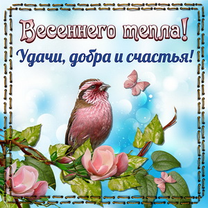 Картинка с птичкой и пожеланием весеннего тепла
