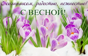 Фиолетовые цветы на снегу на День весны