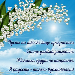 Черёмуха на фоне голубого неба