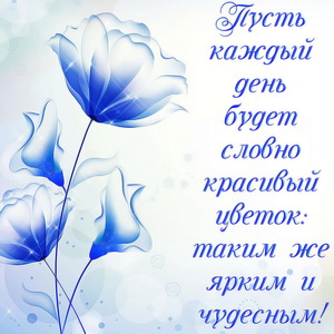 Картинка с пожеланием и розой
