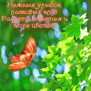 Бабочка у кленовых листиков