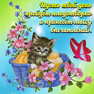 Картинка с котёнком среди цветочков
