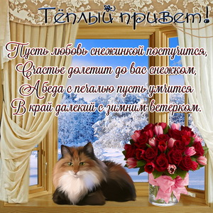 Открытка с тёплым зимним приветом