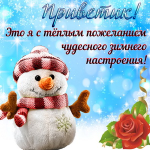 Снеговик желает чудесного настроения