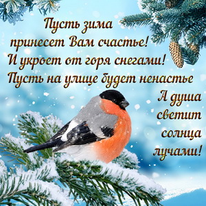 Открытка с красивым пожеланием на зиму