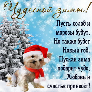 Забавный пёсик желает чудесной зимы