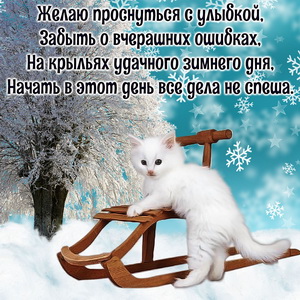 Картинка с котёнком и зимним пожеланием
