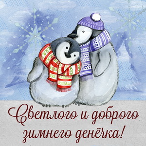 Пингвины желают доброго зимнего денечка