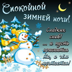 Снеговик желает спокойной зимней ночи