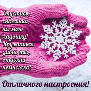 Снежинка в рукавицах для отличного настроения